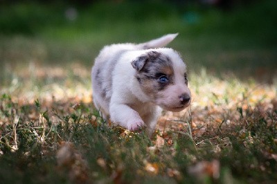 Un bel inuit